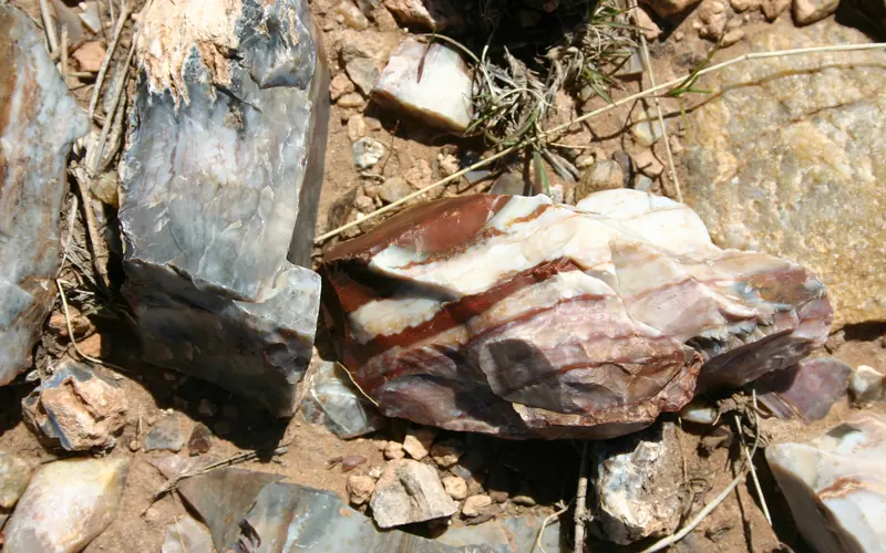 Colorful chunks of Alibates Flint.