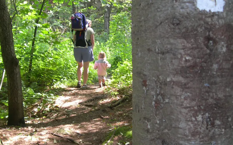 A white blaze marks a tree in the foreground, with a man and child walking away on the wooded trail.