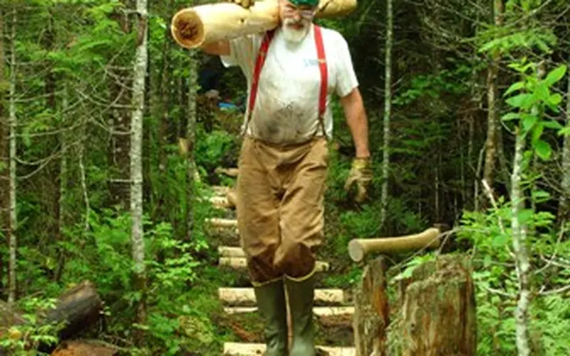 A volunteer is carrying a split log while walking across a wooden footbridge in the woods.