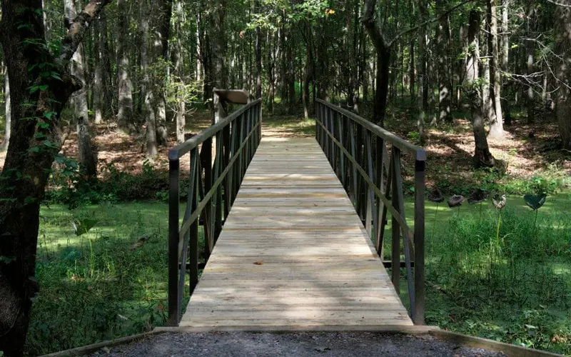 the Alligator Slough footbridge