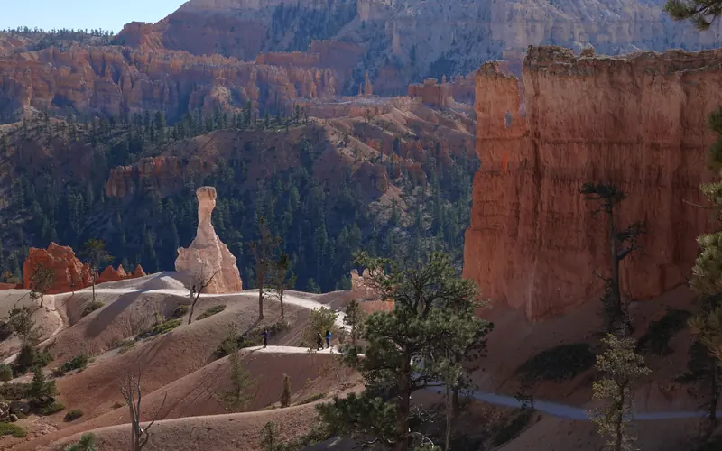 A lone white rock tower stands surrounded by red rock walls and forest along a trail