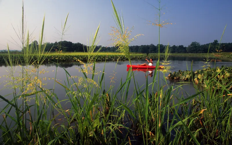A lone kayaker explores the Patuxent River