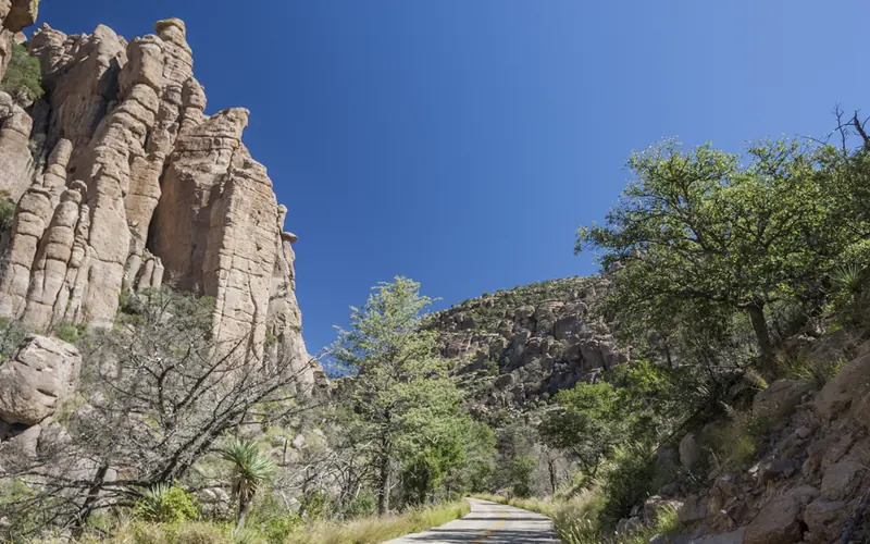 A narrow road winds between tall oaks and rock cliffs