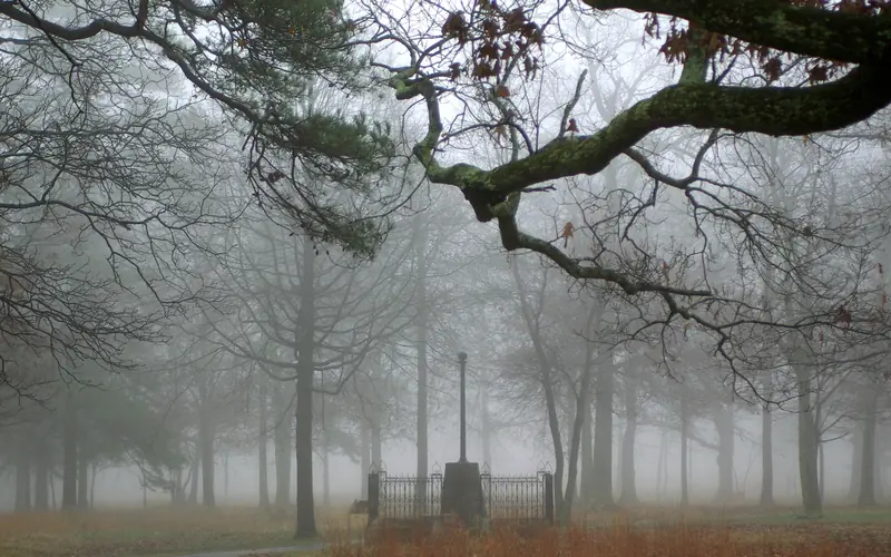 Fog shrouds the 1856 Washington Light Infantry Monument