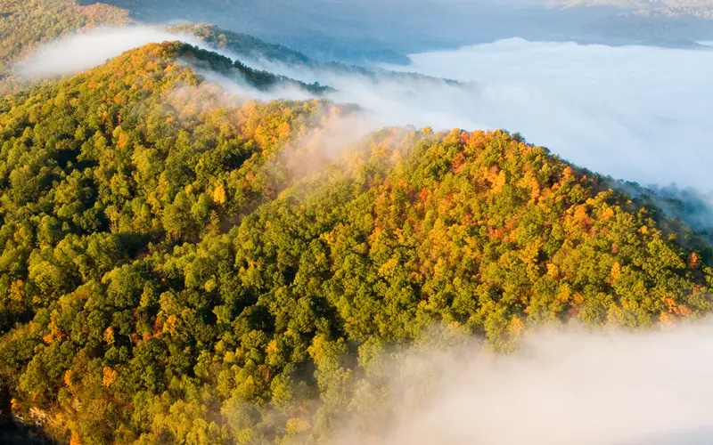 View from the Pinnacle Overlook