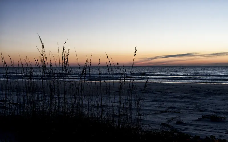 Ocean beach at sunrise