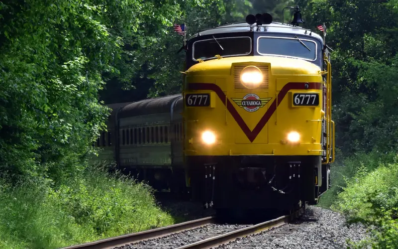 A yellow-and-red engine with number 6777 leads a passenger train along tracks through green trees.