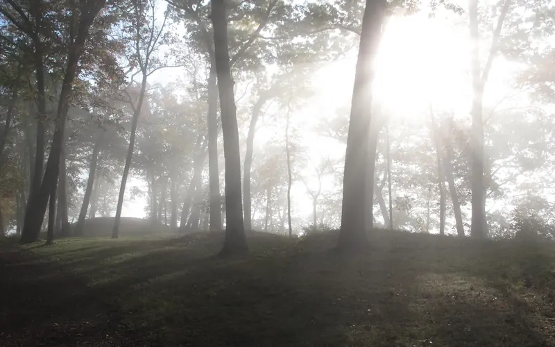 Three conical mounds in a foggy morning setting.