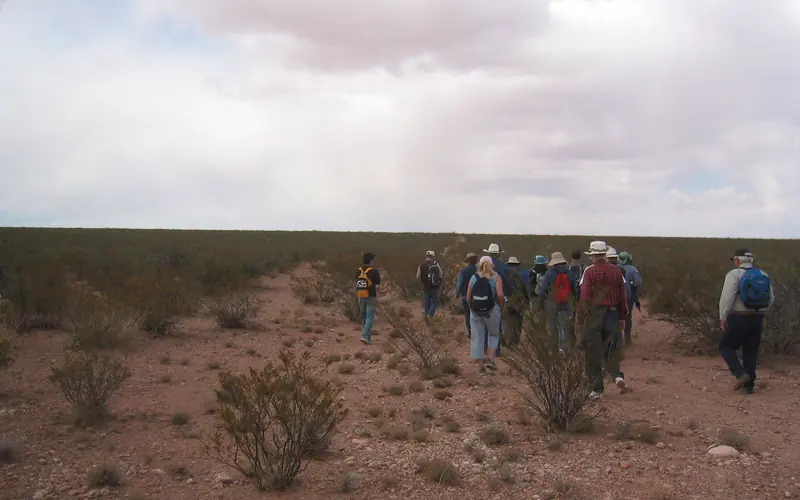 shrubby desert scene with people walking under a cloud-filled sky