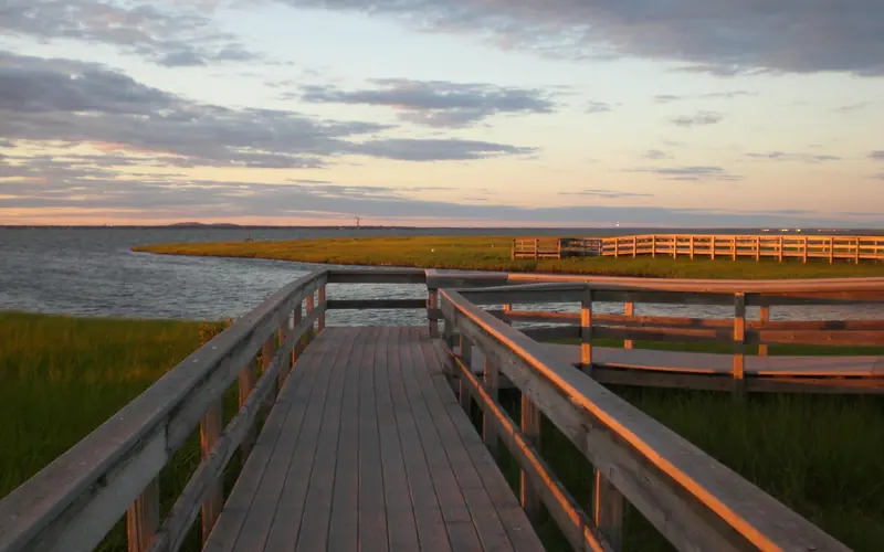 A boardwalk trail through lush green salt marsh glistens in sunset light.