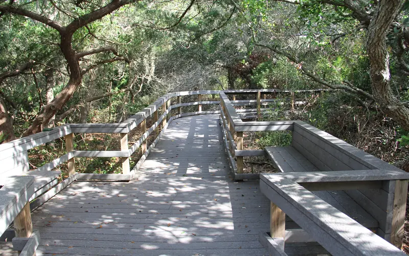 A nature trail boardwalk with seating area.