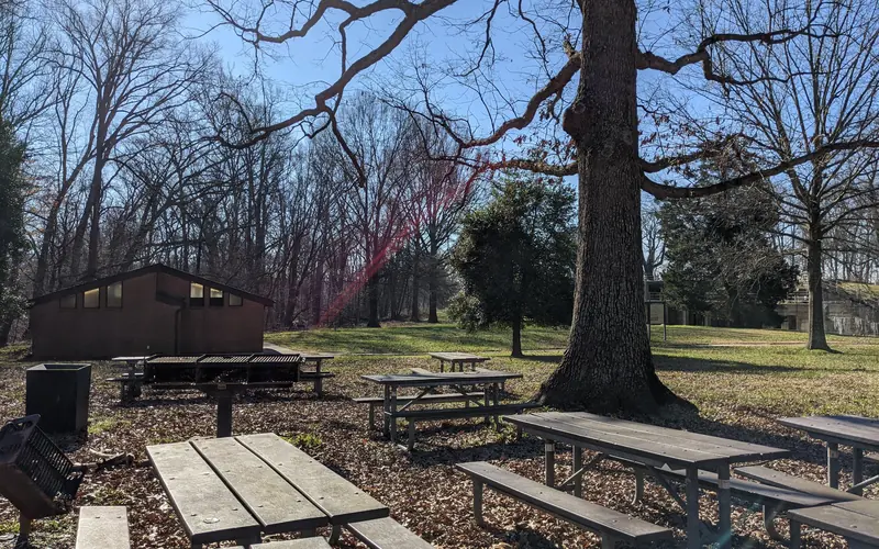 Picnic tables under a tree