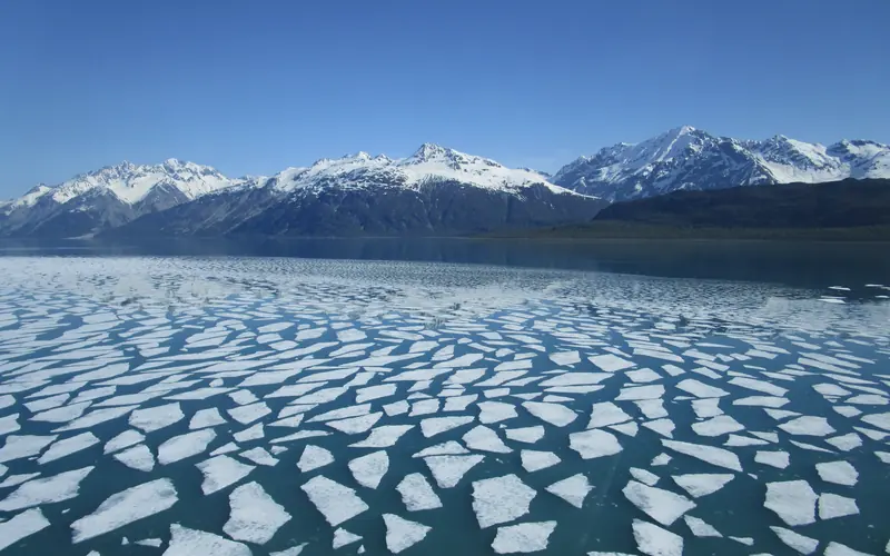 Pan ice in Tarr Inlet