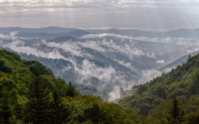 Wisps of fog hang over the forests in the mountains.