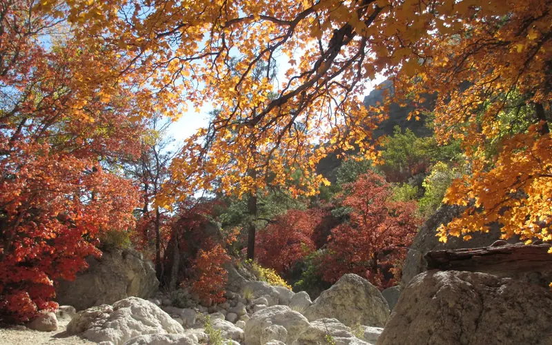 Fall colors in Devil's Hall