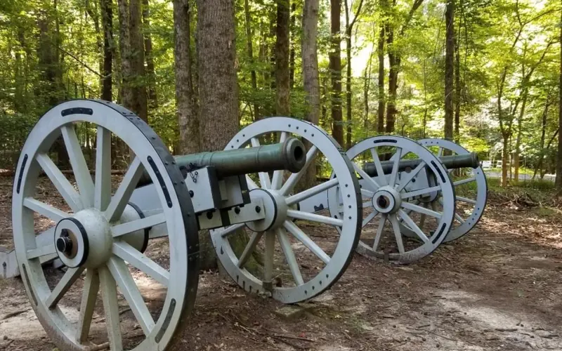 Two cannons on grey carriages (wheels) sit in a forest