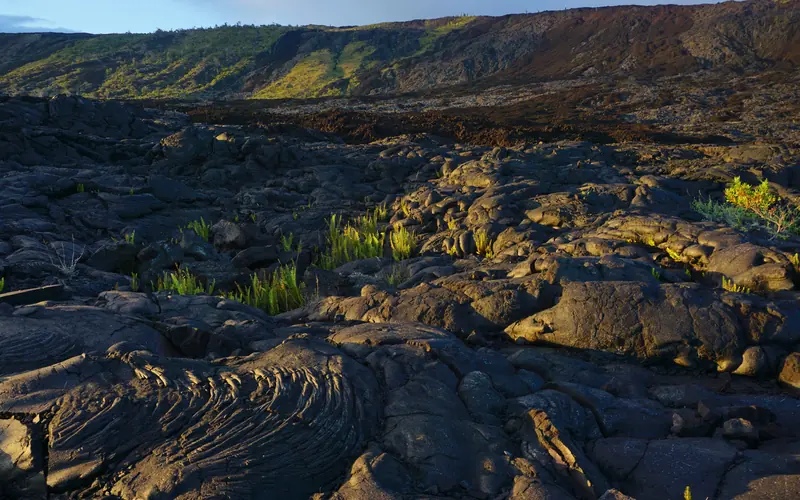 Lava flows and ferns in front of a cliff at sunset
