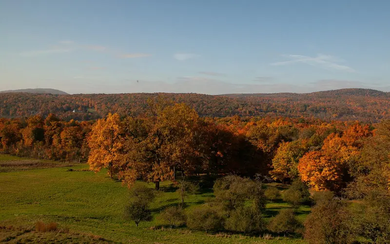 A vast lawn with apple orchard and mountain range in the distance.