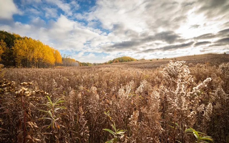 Photograph of an autumn prairie scene with rolling hills edged by trees under a partly cloudy sky.