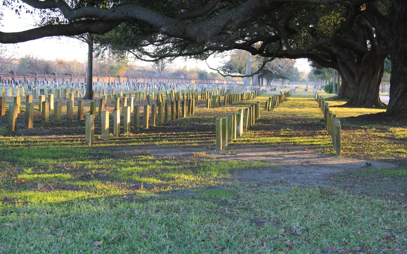 Setting sun lights up cemetery headstones
