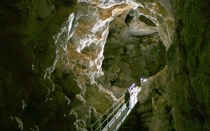 A park ranger is standing on a metal platform within a long passageway with a vaulted ceiling.
