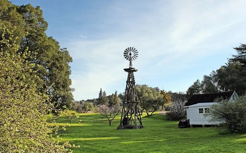 A tall wooden windmill and a small white shed surrounded by trees.