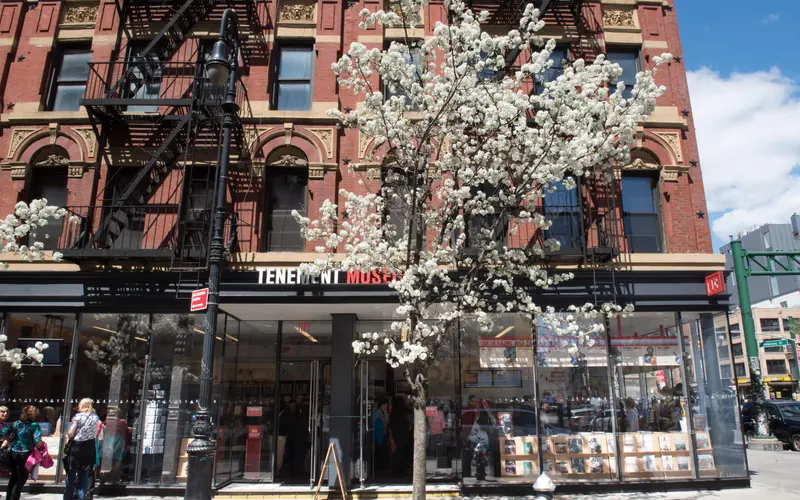 A flowering white tree in front of the entrance to the visitor center