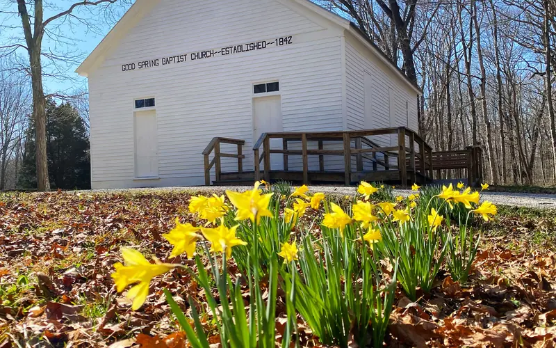 A small white church building with yellow flowers in the foreground.