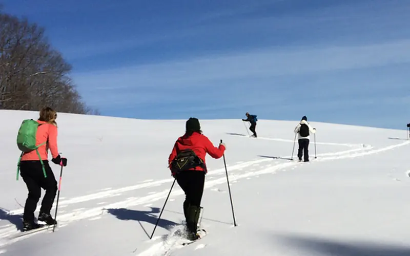 Winter sports at the park