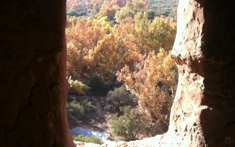 Sun shines on the window sill in a masonry wall; trees in fall color are seen outside the window.