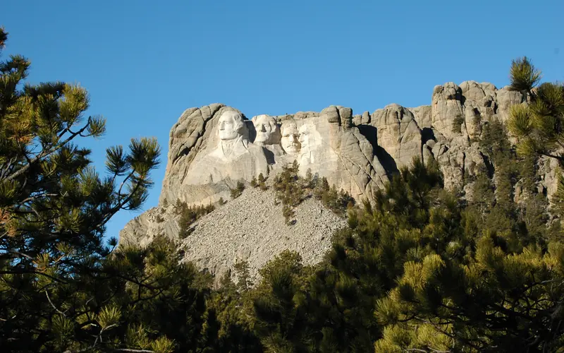 Mount Rushmore viewed from a distance through ponderosa pine trees.