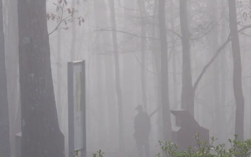 A corten steel figure of a Native American stands sentinel in the fog.