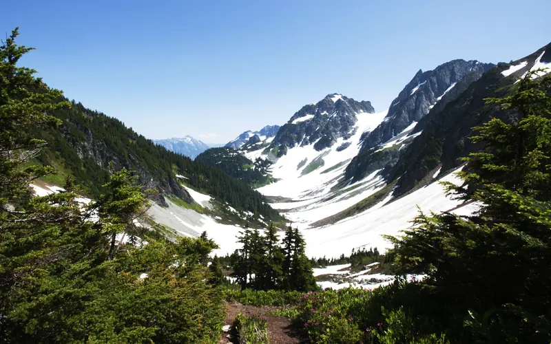 Trees surround the frame with glacier and mountains in the background