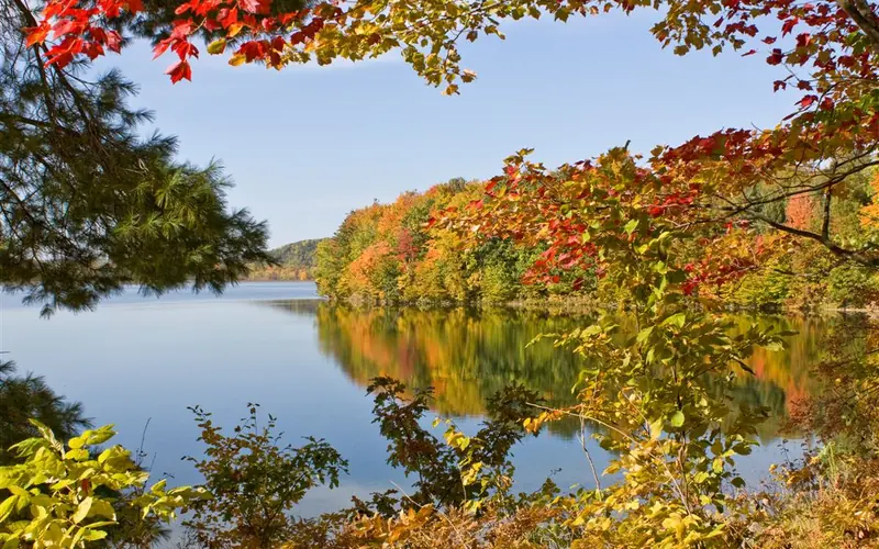 Fall colors along the trail