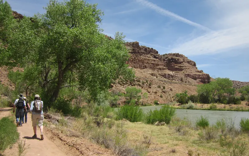 hikers walk beside a river with cottonwoods alongside the river