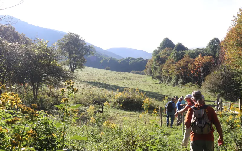 5 people are hiking along a trail surrounded by mountains and wildflowers and trees.