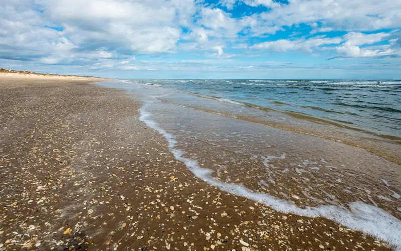 Small shell fragments in the sand long the beach.