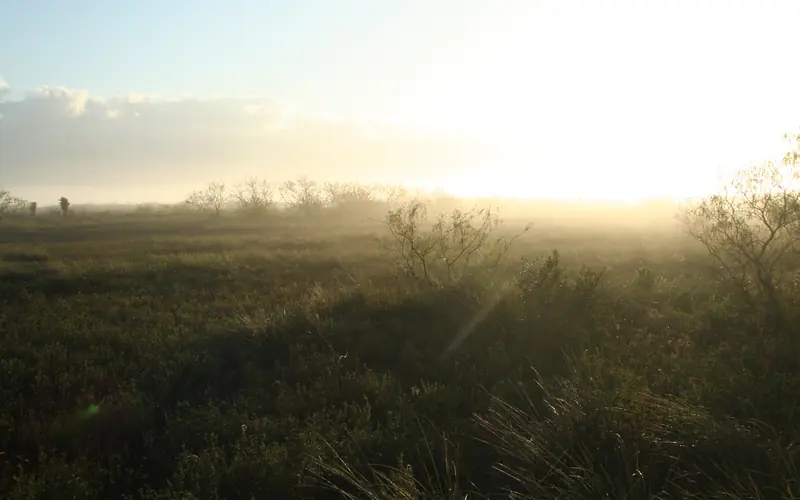 Sun rising over the battlefield