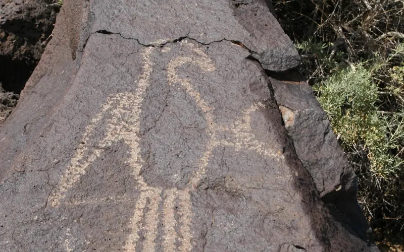 Petroglyph of a macaw parrot along the Macaw Trail in Boca Negra Canyon.