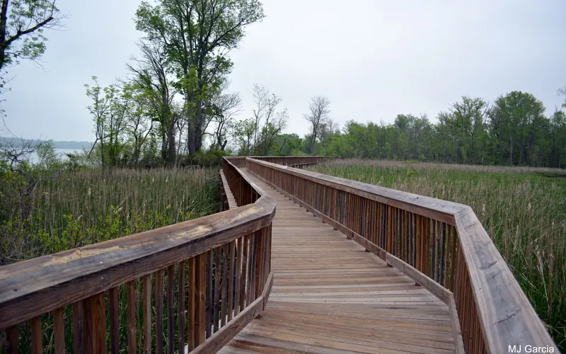 Boardwalk over Accokeek Creek located in Piscataway Park