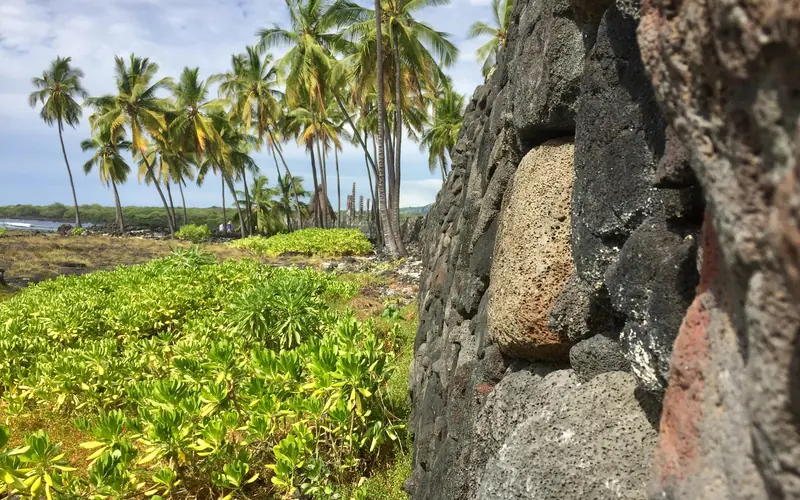 Close up image looking along the stones of the Great Wall in the Puʻuhonua with coconut trees