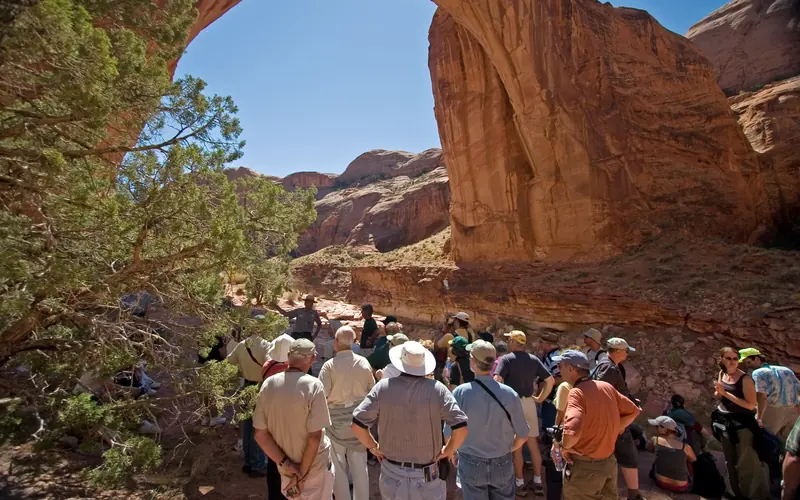 A large crowd faces away from the camera at the scenery.