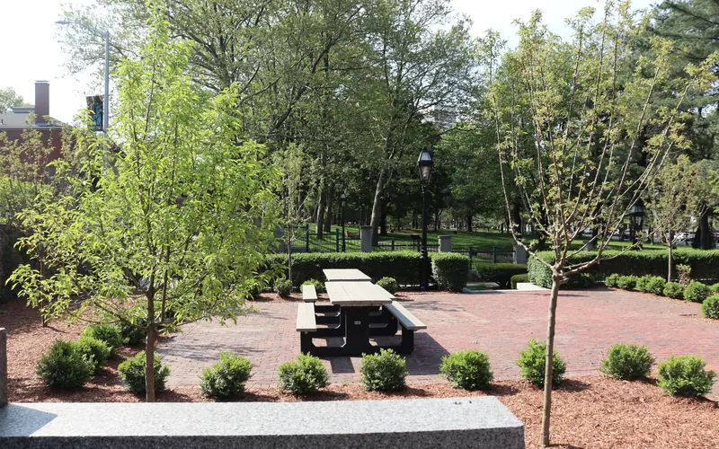 Accessible tables in the picnic area