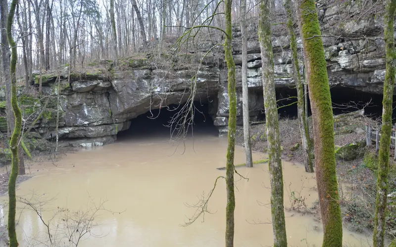 Winter flood in December 2015