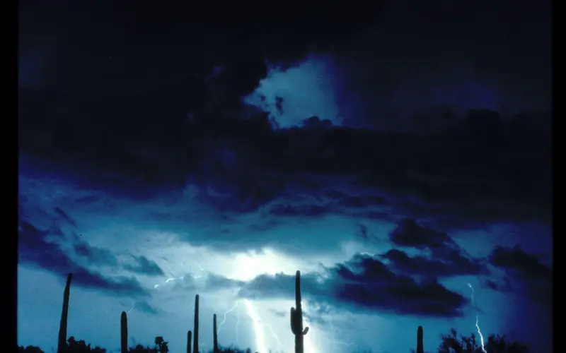 Lightning strike captured on camera with saguaros in the background