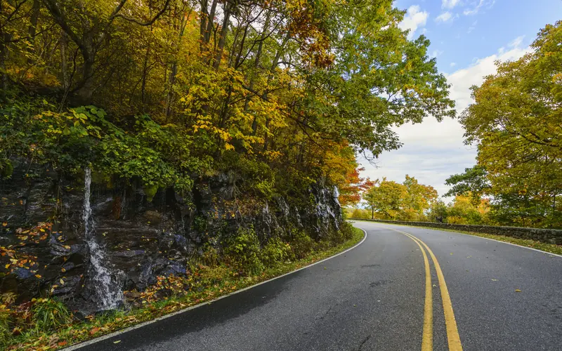 A road surrounded by fall foliage turns a curve around a small waterfall.