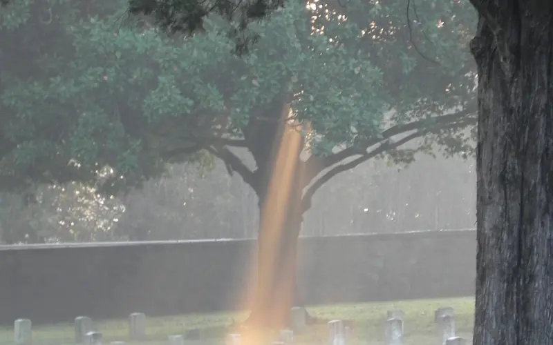 A ray of sunlight shines on the ground at Stones River National Cemetery.