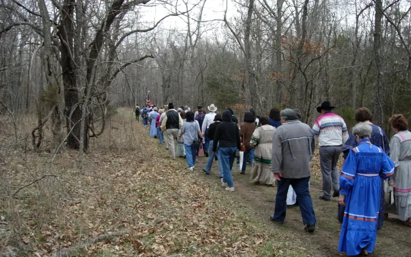 dozens of people walk a section of the Trail of Tears, winter scene, trees with no leaves