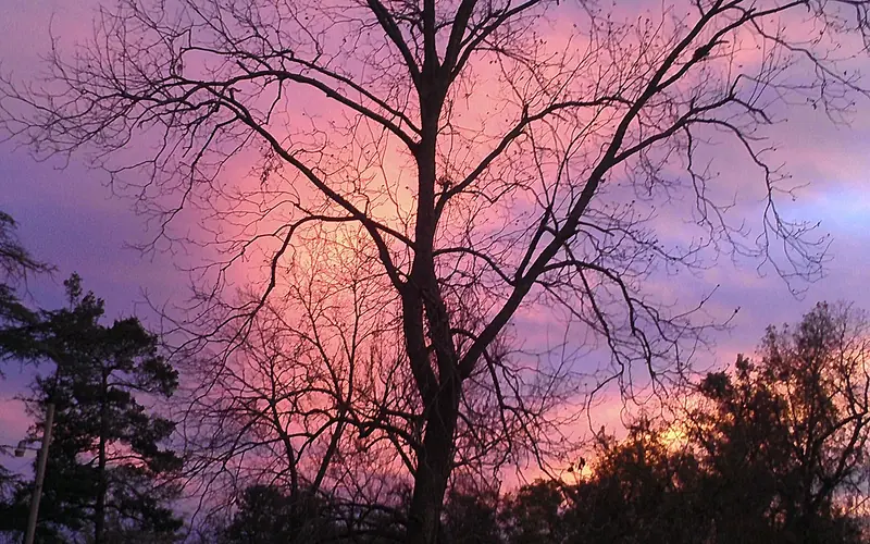 Sunset of blue, red, and orange sky behind The Oaks, Booker T. Washngton home