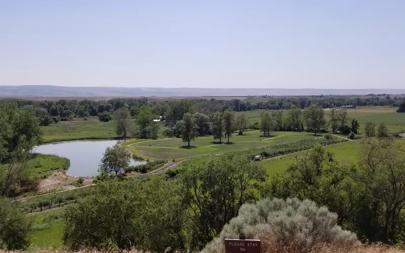 View from above looking down at green fields, a pond, and mountains in the distance